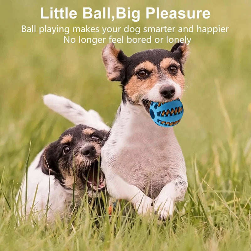 FluxShop™ Interactive Treat Dispenser Ball for Small Dogs – Fun, Durable, and Multifunctional